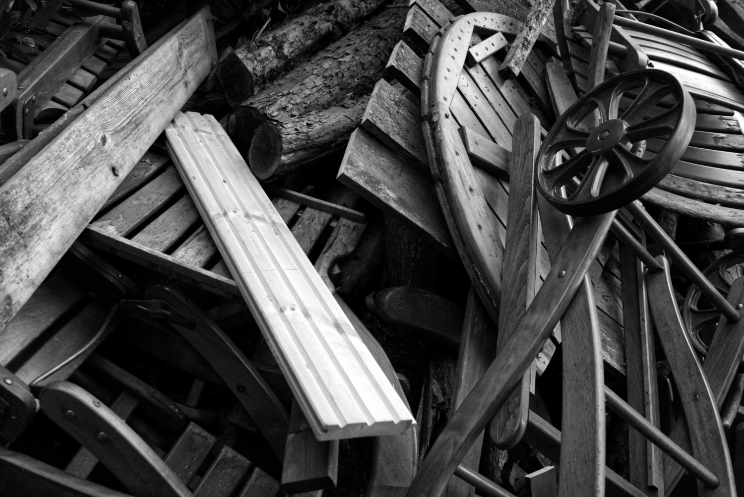 Am Wegesrand 25.06.2025