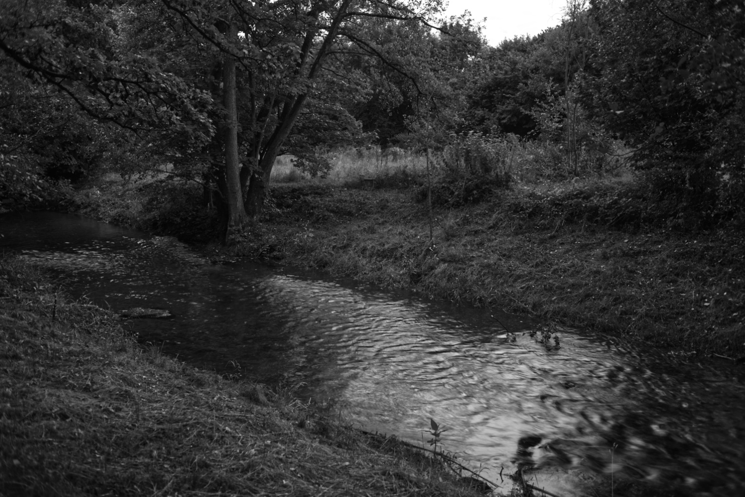 Abendstimmung 01.09.2025