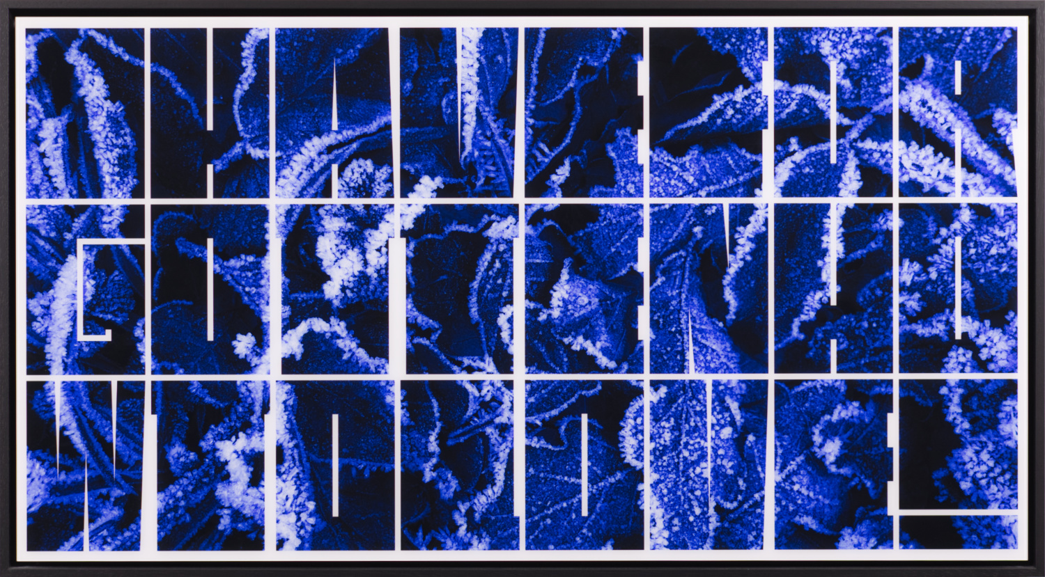 Ein Foto im extremen Querformat, dass Raureif auf Laubblättern am Boden zeigt. Blau ist die einzige Farbe. Vor dem Foto findet sich ein Raster, welches das Bild in drei mal acht Blöcke teilt. Kleine weiße graphische Elemente gestalten jeden Block zu einem Großbuchstaben und am ende zu einem Satzzeichen. Man kann lesen: "I have forgotten how to love!"
Das Bild hat einen schwarzen Schattenfugenrahmen.