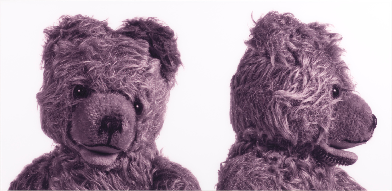 Schwarzweißfoto mit leichtem Sepiaton. Im extremen Querformat zeigt das Bild zwei Fotos eines Teddybären, links die Frontalansicht des Kopfes und rechts das Profil. Beides vor einem durchgängigen weißen Hintergrund.
