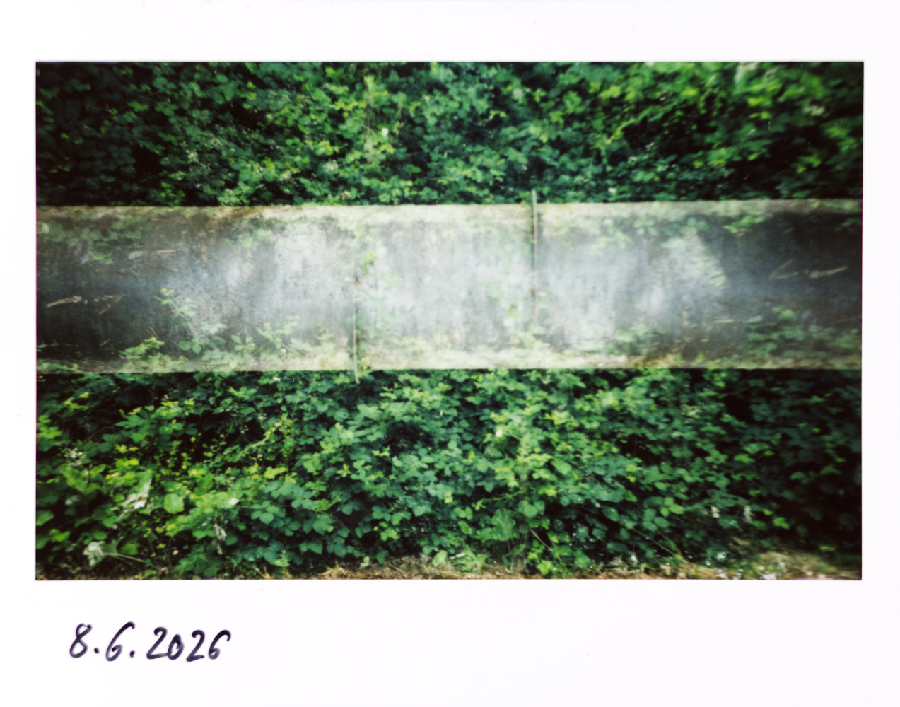 Farbfoto im Querformat mit einem weißen Rand, der unten breiter ist als an den anderen Seiten. Unten links auf dem Rand ist handschriftlich „8.6.2026“ vermerkt. Das eigentlich Motiv ist ein horizontal verlaufendes, dickes, graues Rohr das von oben und unten von Grünzeug eingewachsen zu sein scheint. Dort wo sich Rohr und Grünzeug überlappen, kommt es zu transparenzen, welche die Doppelbelichtung erahnen lassen.